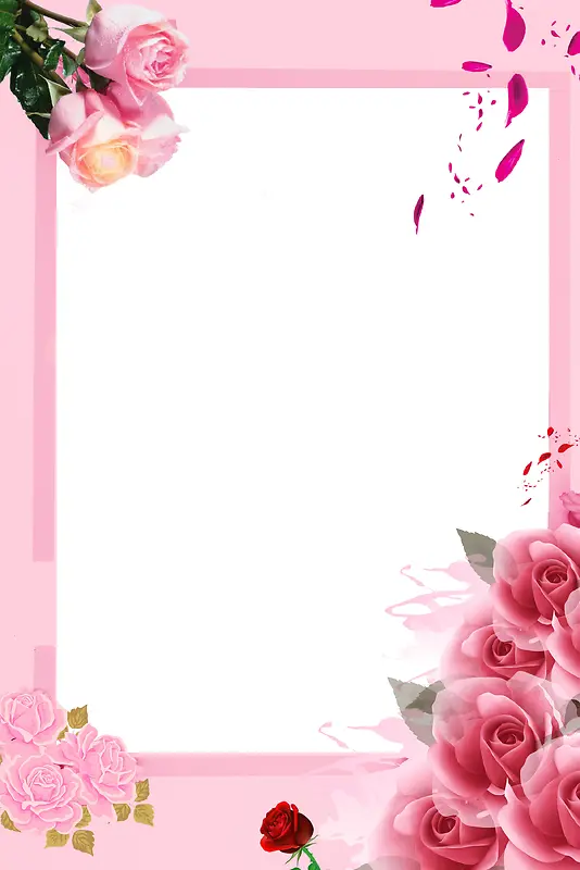 粉色唯美白色情人节玫瑰花边背景