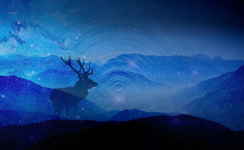 星空小鹿剪影背景
