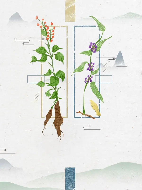 世界传统医药日手绘插画