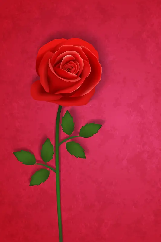 大气高贵红色玫瑰花背景