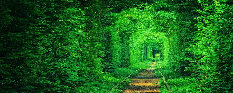 绿色隧道