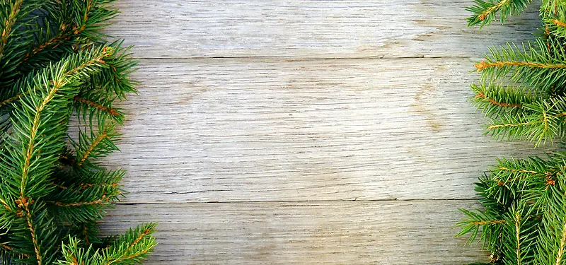 枫叶 木板 松针 松树 木板