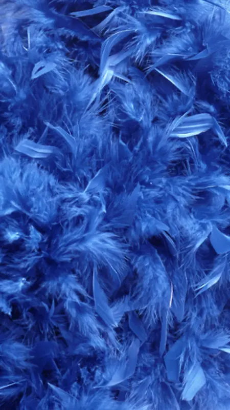蓝色羽毛H5背景图片