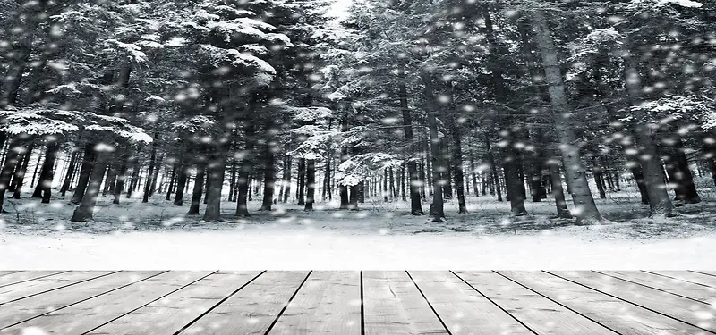 灰色的木板树林图片