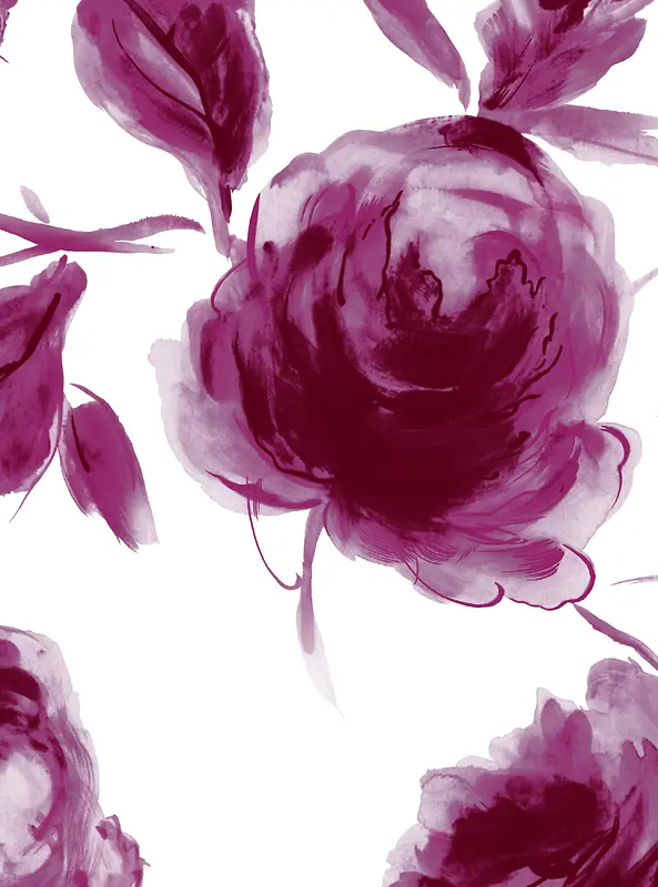 紫红色玫瑰用于美容化妆家居健康医疗