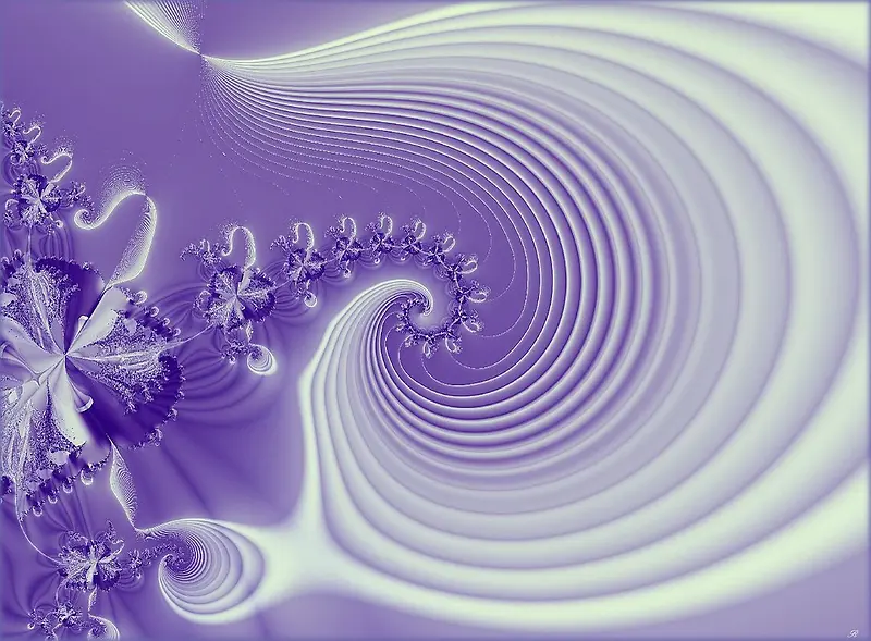 紫色螺旋花纹背景