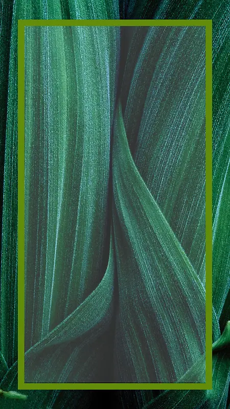 绿色叶纹底纹H5背景psd分层素材