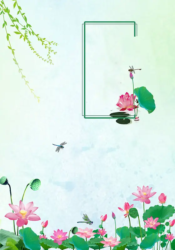 夏日荷花丽人美图