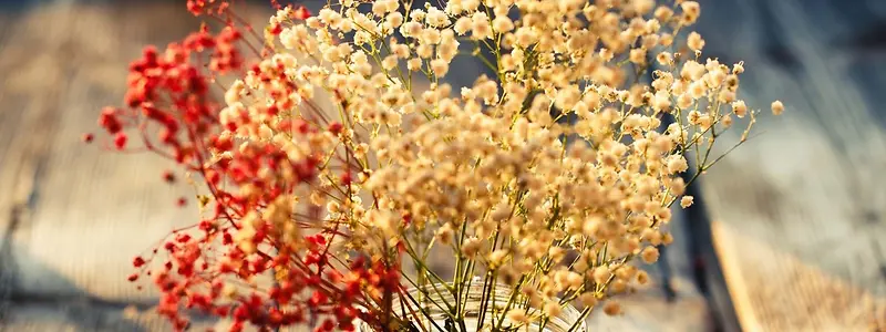 花朵海报背景