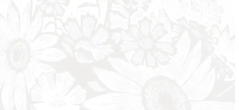 淡色花朵背景图