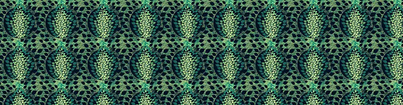 图案花纹纹理banner