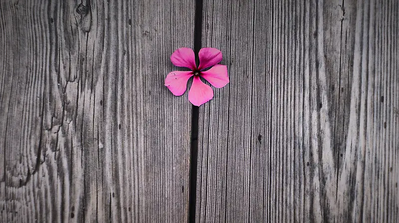 木质纹理粉色花朵海报背景素材