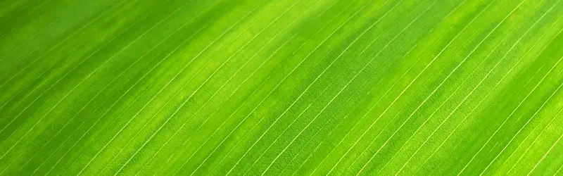 简约背景