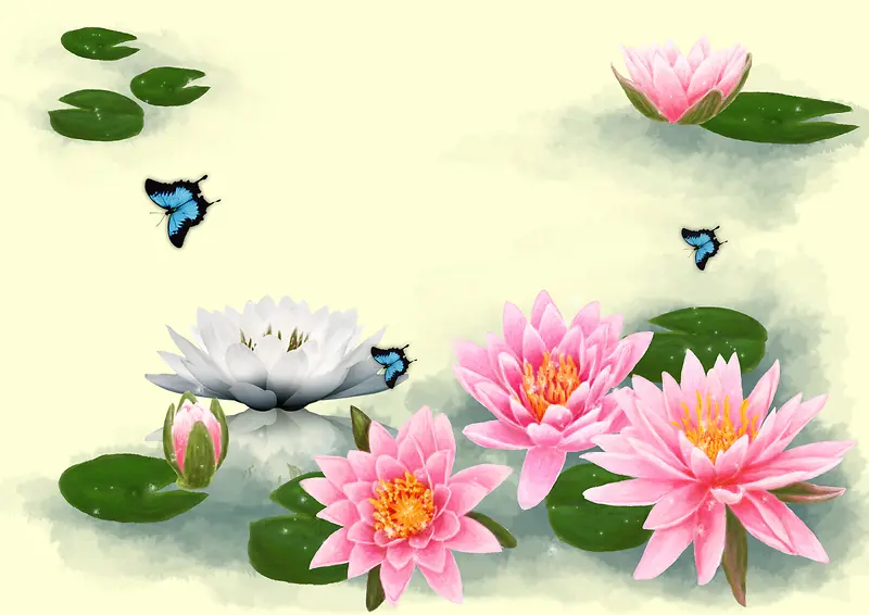 中国风美丽莲花池背景素材