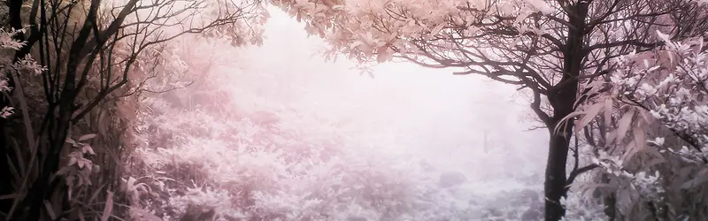 唯美浪漫雪景