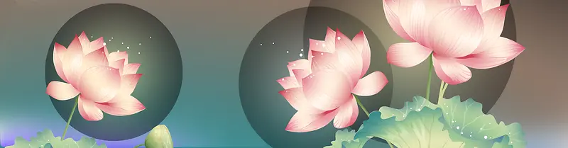 荷花banner