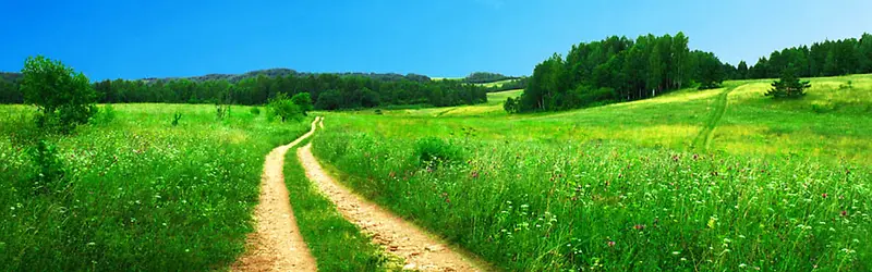 绿色道路淘宝海报