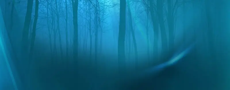雾霾森林背景