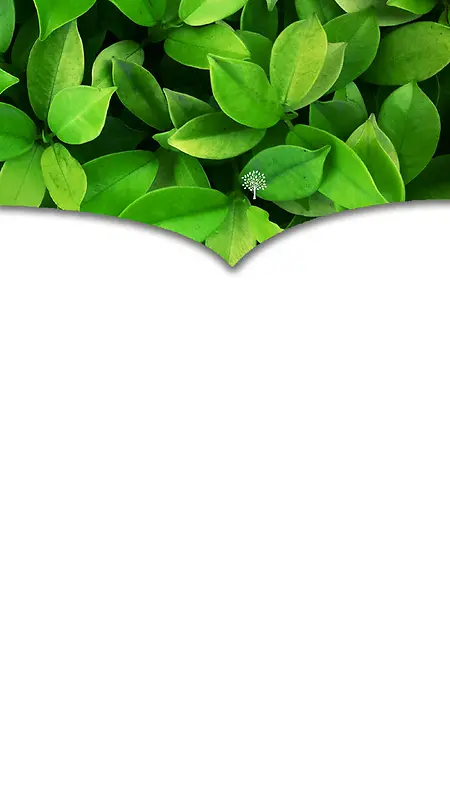绿色树叶微商海报背景素材