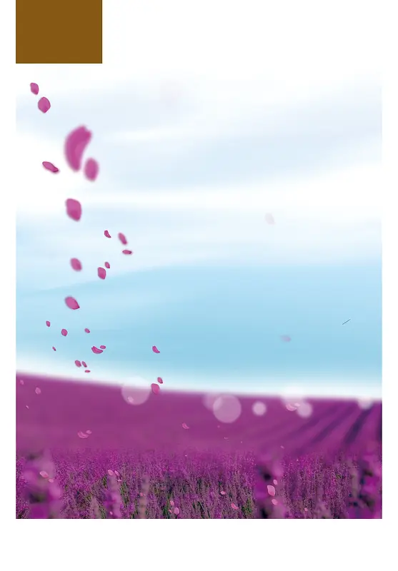 房地产紫色薰衣草背景素材