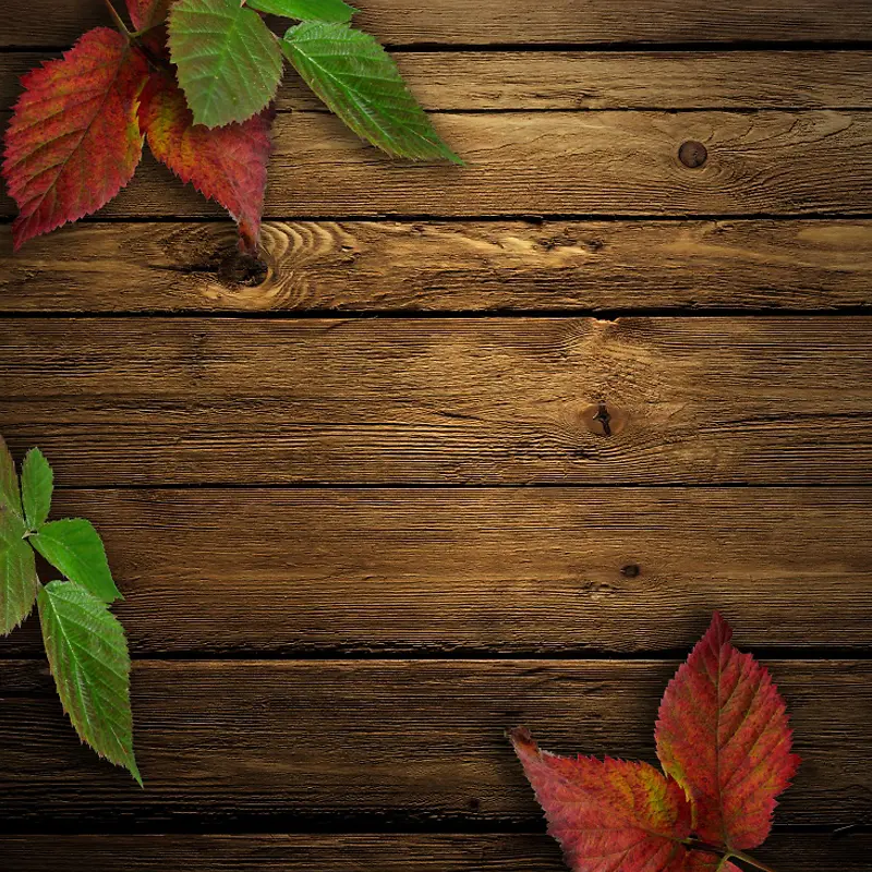 木板上的叶子背景图