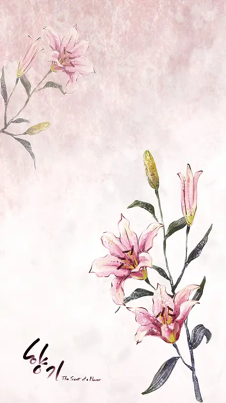 温馨粉色韩国花朵H5背景免费下载