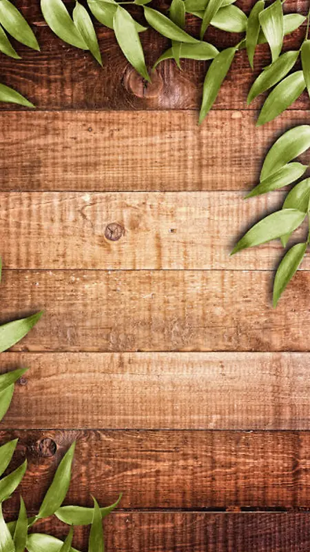 绿叶木板木纹