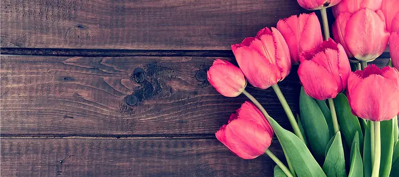 红色郁金香鲜花与木板