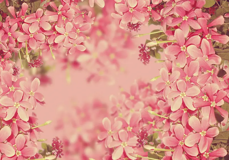 立体粉红小花背景