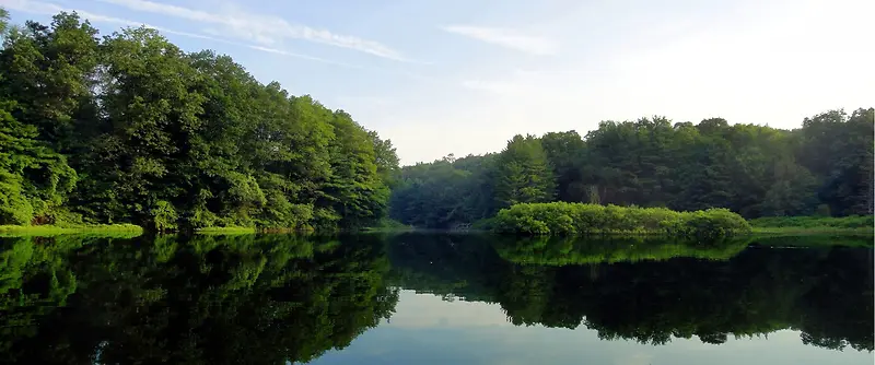 清新大自然湖泊树林背景