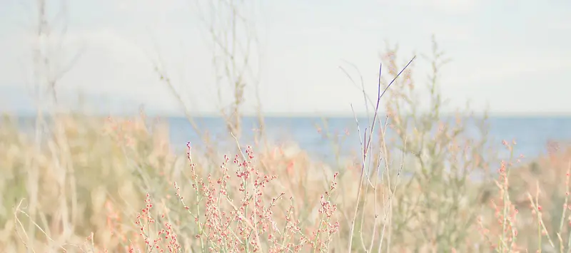 日系小清新文艺背景