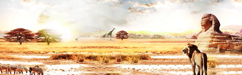 大气沙漠激情风景海报