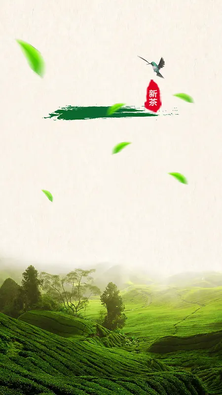 绿色茶园背景