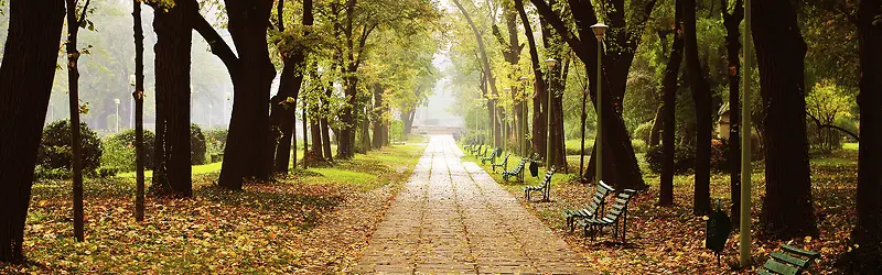 公园小路背景