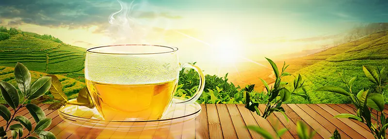 文艺茶水茶园景色banner