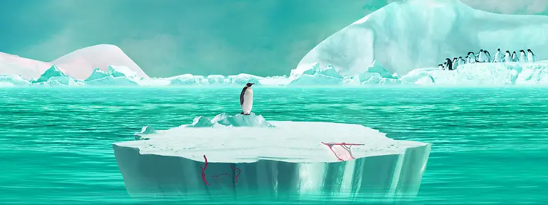 蓝色海洋企鹅摄影图片banner