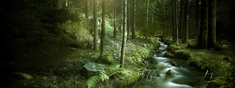 森林流水