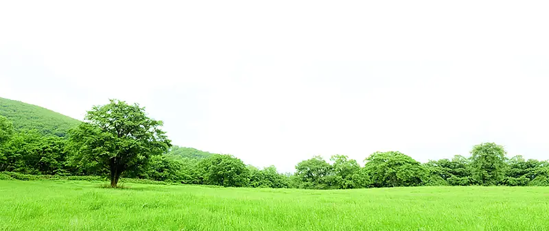 青山背景