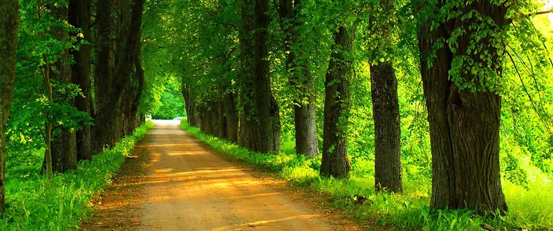 林荫路