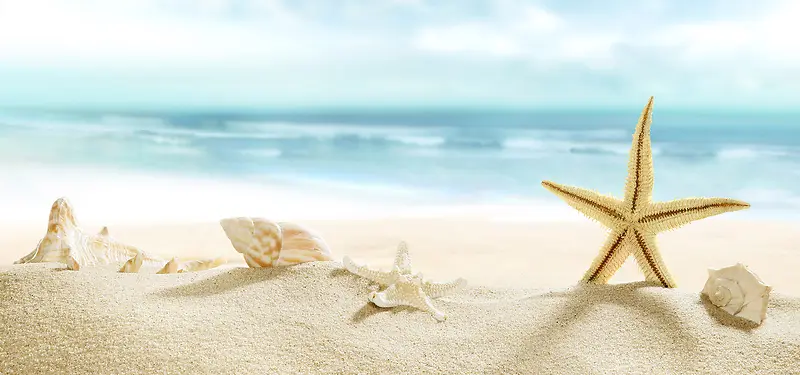 海洋沙滩贝壳