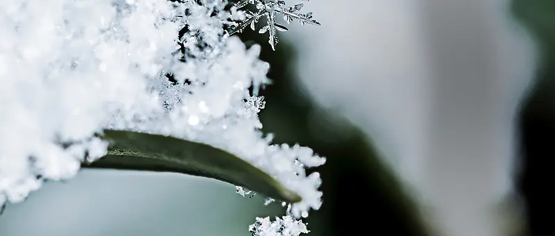 小雪文艺冬季景色背景