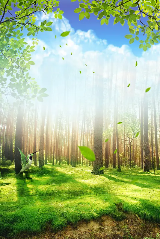 绿色森林树林风景摄影叶子合成背景素材