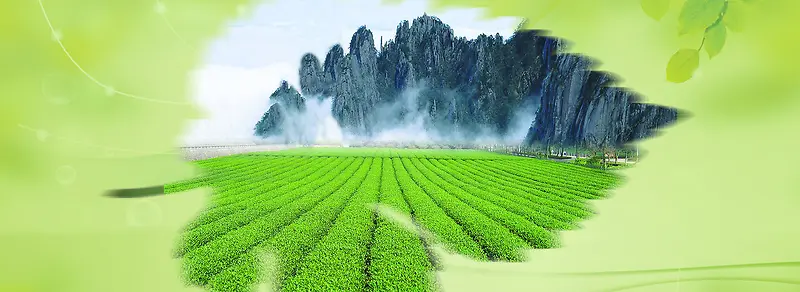 中国风古典茶叶文化banner素材