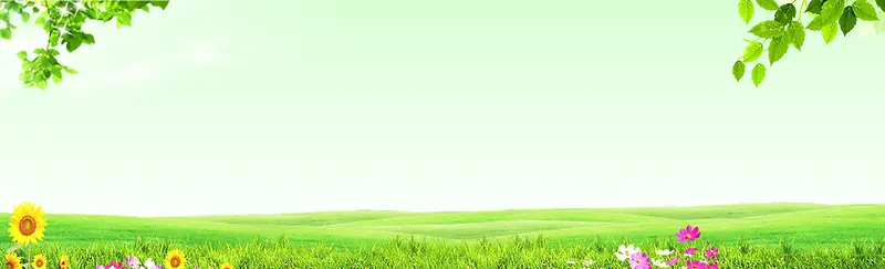 绿色草坪背景