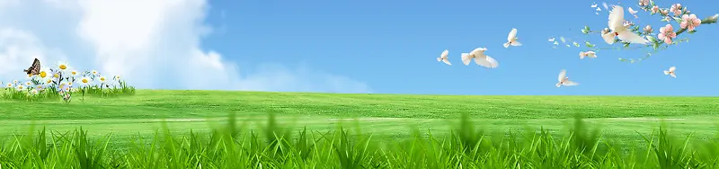 清明节春季踏青banner