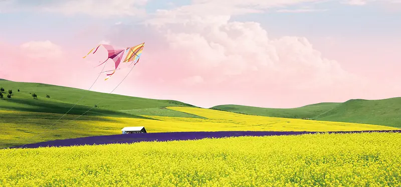 大气油菜花景色风筝唯美banner