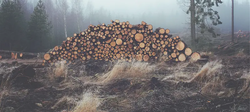 木材背景
