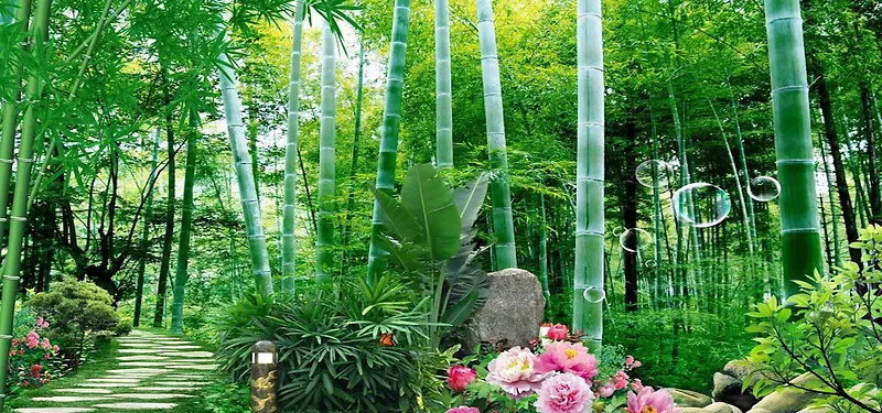 绿色竹林风景图
