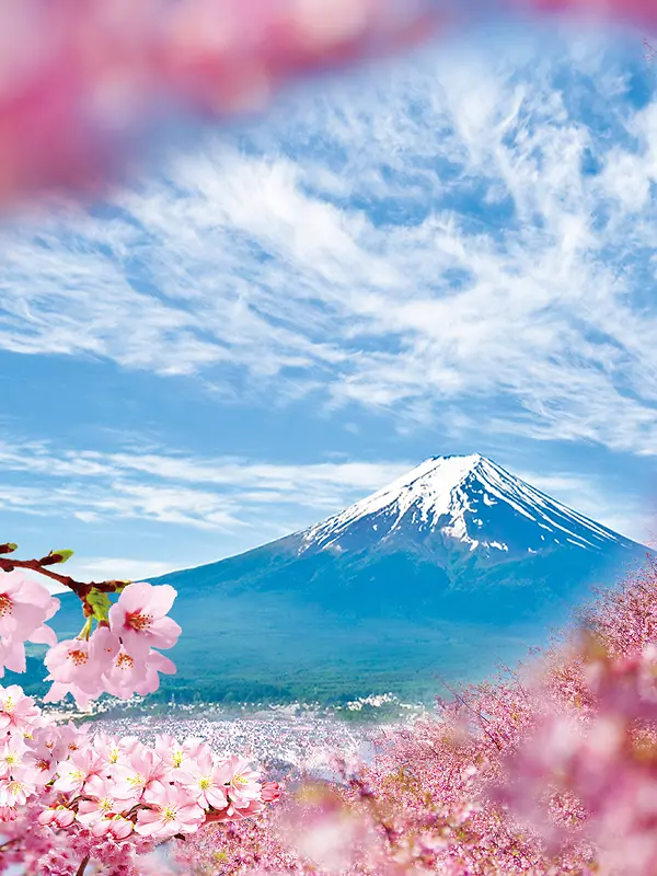 樱花花朵秋名山风景蓝天白云背景素材