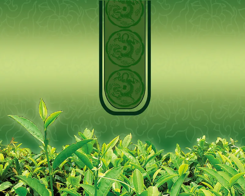 绿色渐变茶叶海报背景模板